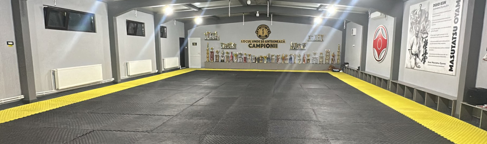 header Catalin Mocanu Academy