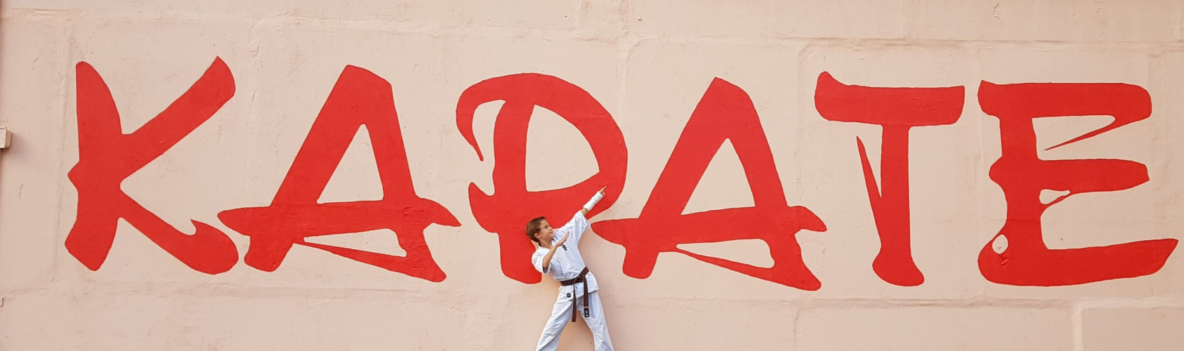 header Zaporizhzhia Karate School