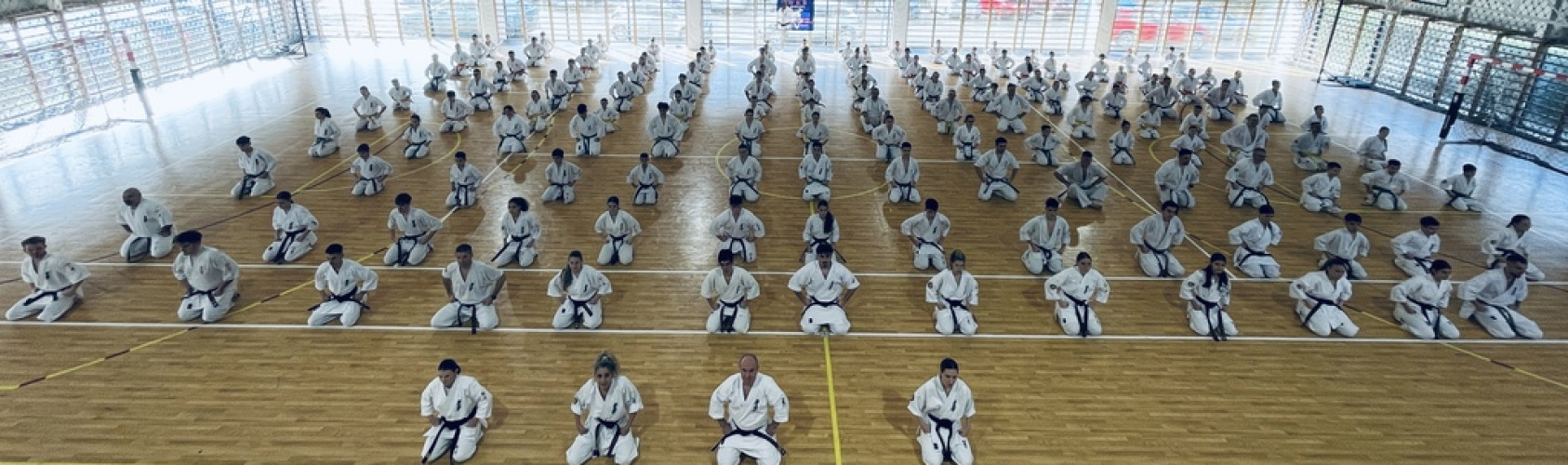 header Goshin-Ryu Ploiesti
