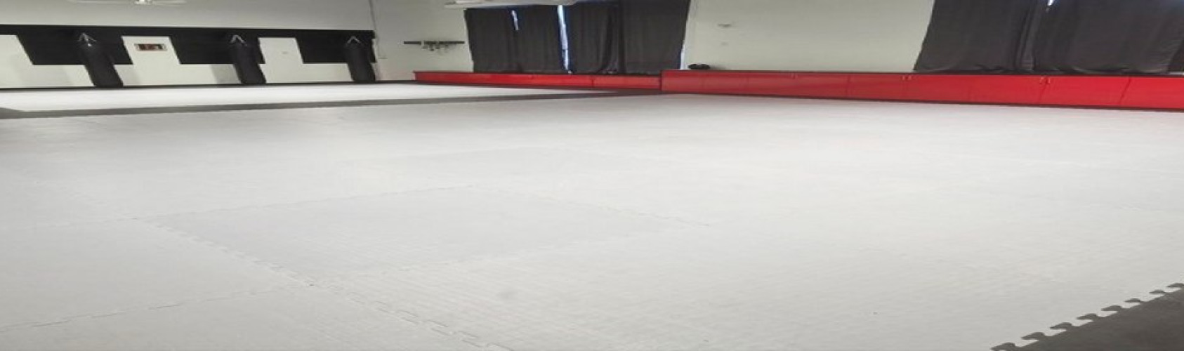 header Geminos Dojo Vaughan