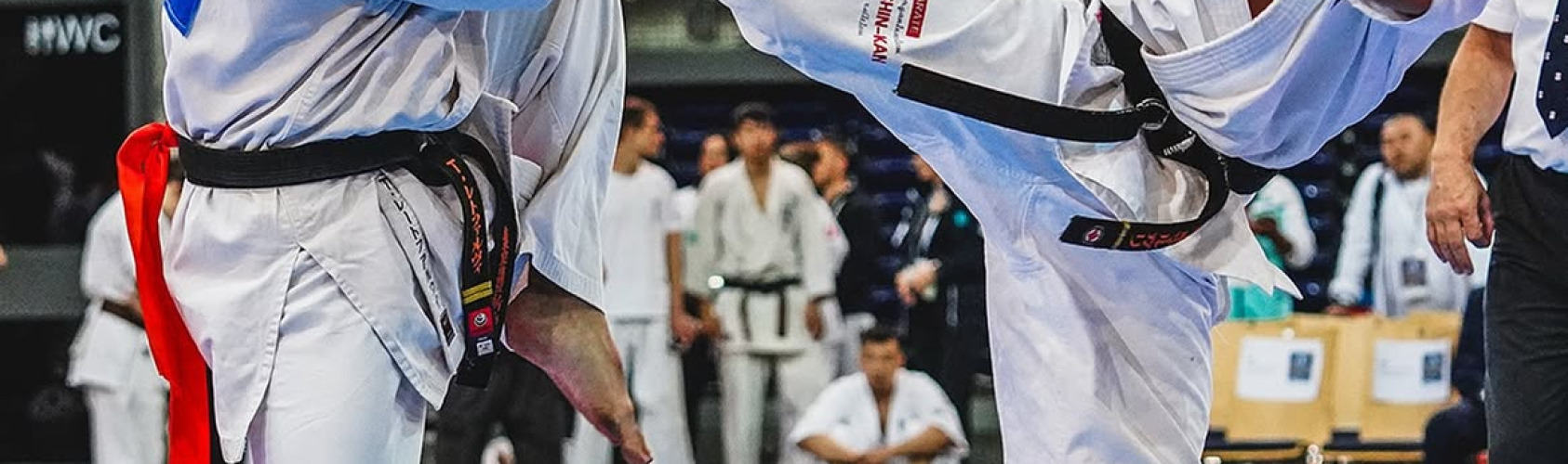 header Ippon Fighting Team