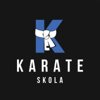 Logo Bereznev’s Karate School