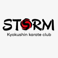 Logo Storm Dojo