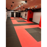 Logo Dojo Den-Max