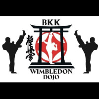 Logo Wimbledon Dojo