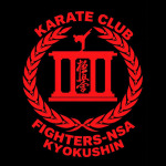 Fighters NSA