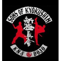 Logo KNS Dojo
