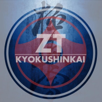 Logo Lanovyi Dojo