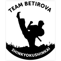Logo Team Betirova