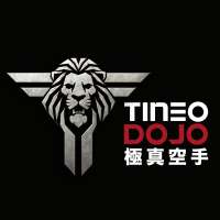 Logo TINEO DOJO