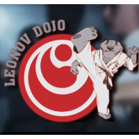 Logo Leonov Dojo (Gymnasium 35)