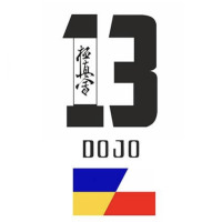 Logo 13 DOJO