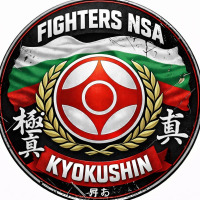 Logo Fighters NSA
