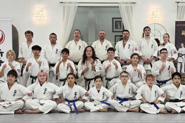 Geminos Dojo Vaughan