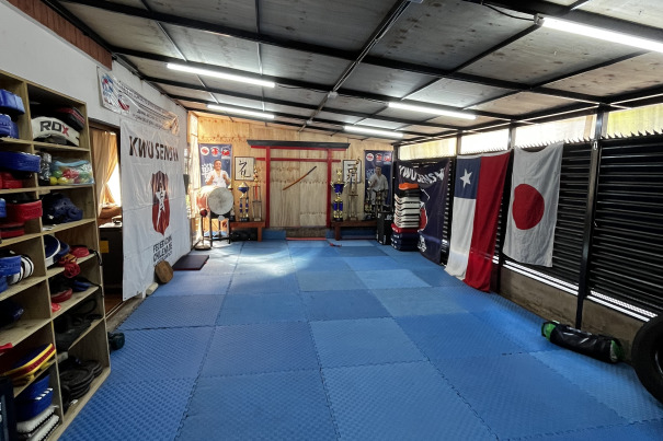 Mushin Dojo