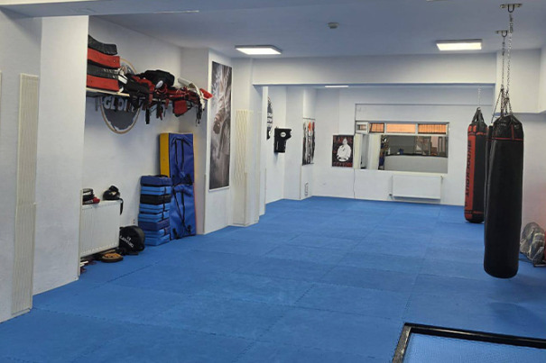 Golden Team Dojo