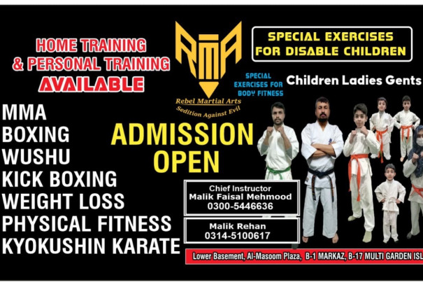 Rebel Martial Arts and Fitness Center