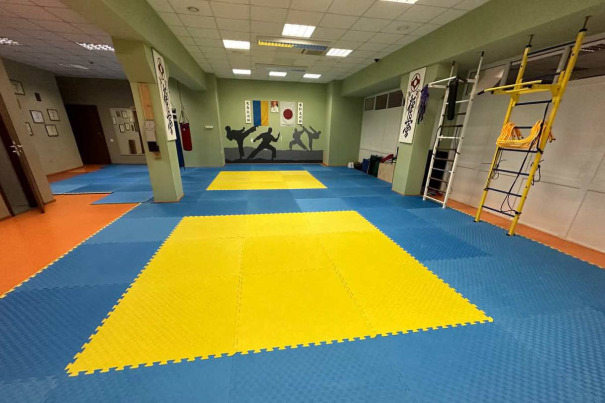Dojo "Budo"