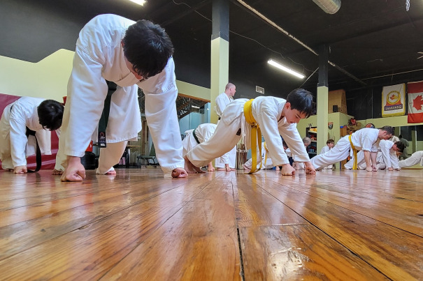 Geminos Dojo Bradford