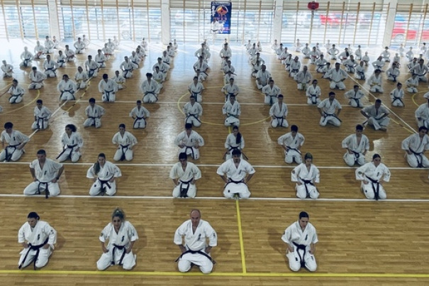 Goshin-Ryu Ploiesti